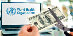 house defund who wef misinformation feature