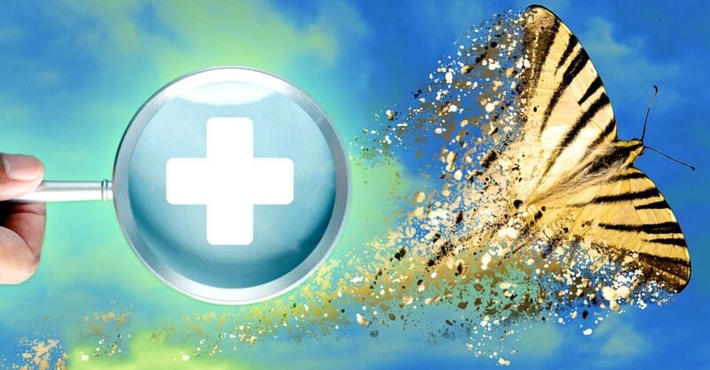vanishing butterfly and healthcare symbol
