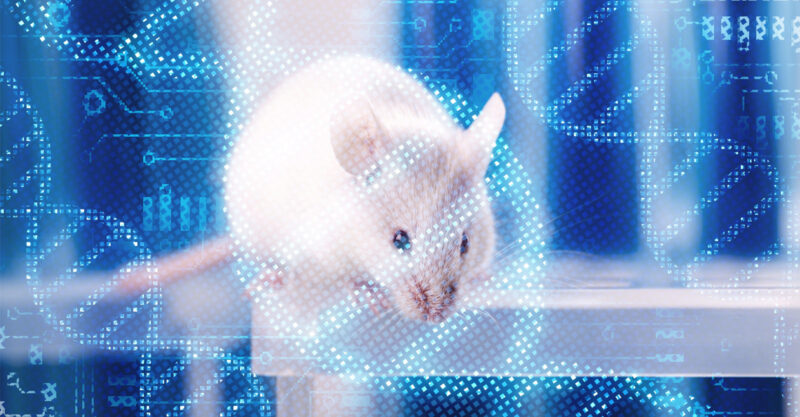Photo of white laboratory rat with technology background.