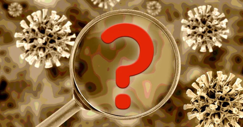 lab leak theory media ignore feature