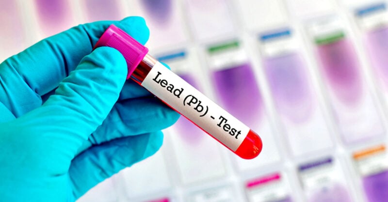 lead toxicity deaths feature