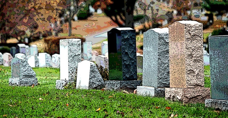 life expectancy covid vaccines death feature