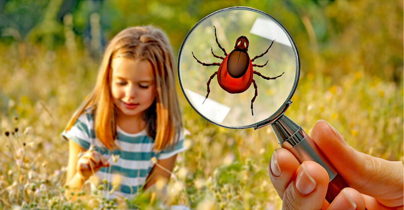 A girl sitting in the flowers with a tick in a magnifying glass on the right side