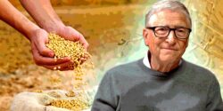bill gates and seeds