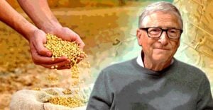 bill gates and seeds
