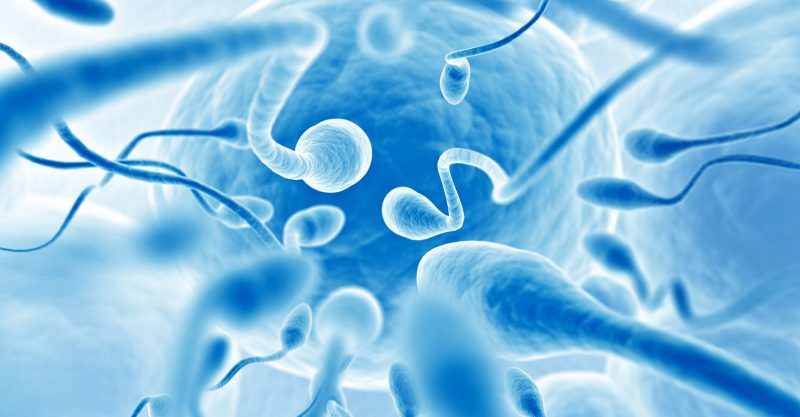 Men today produce fewer sperm than in the past, and the sperm are less healthy.