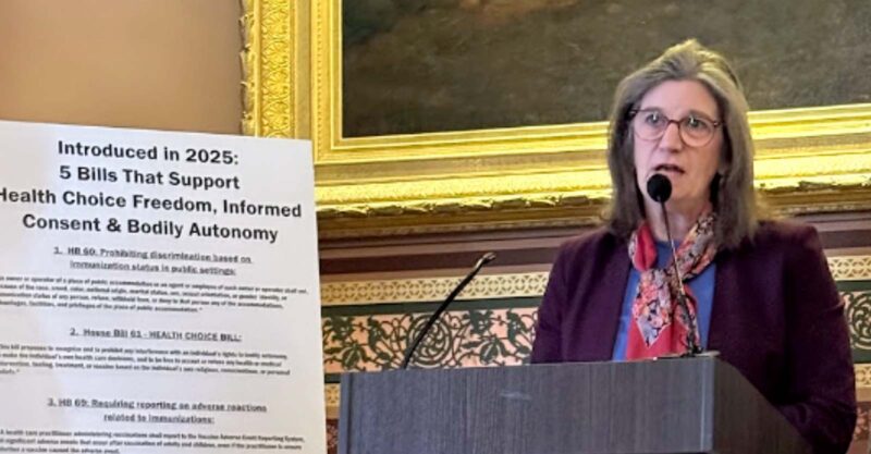 mary holland speaking
