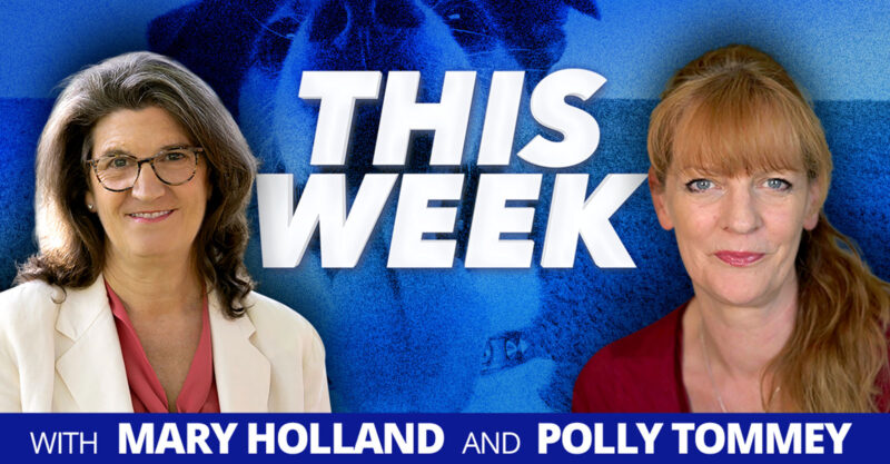 mary polly dog kidney flu shots feature