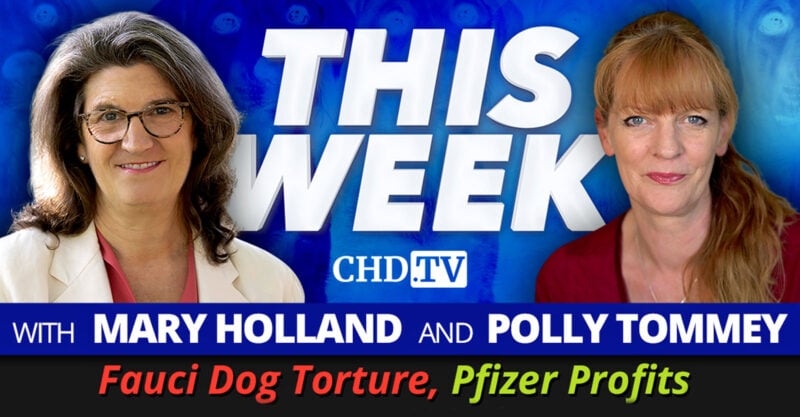 mary polly fauci dog torture pfizer profits feature