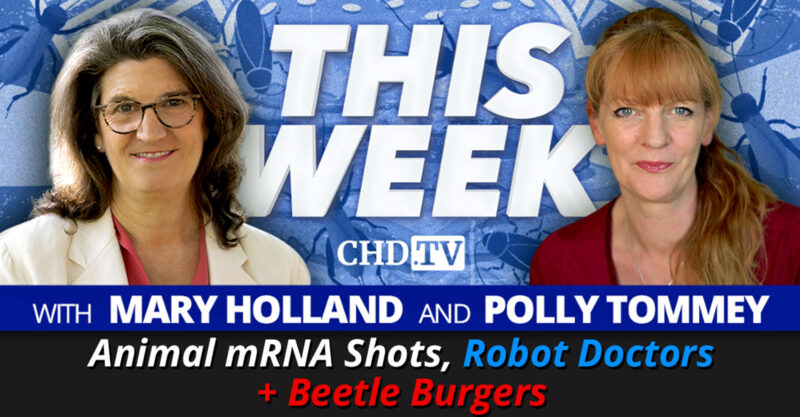 mary polly mrna robot beetle feature