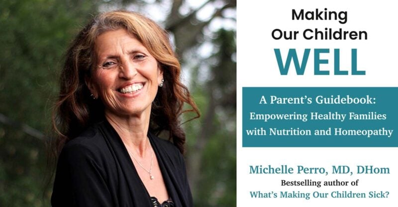 michelle perro and her new book cover