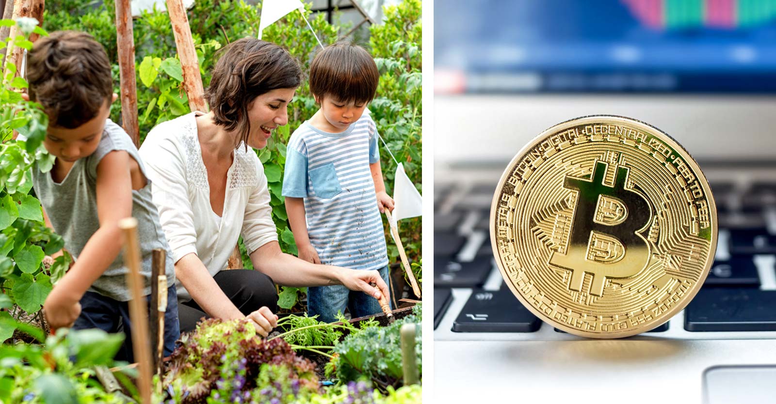 kids outside learning and bitcoin