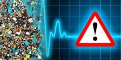 plastics and risk warning