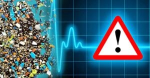 plastics and risk warning