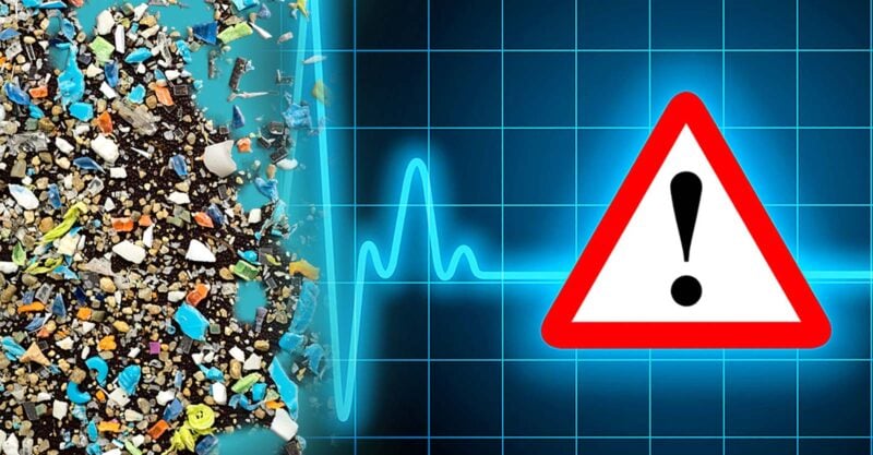 plastics and risk warning