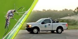 mosquito and truck spraying
