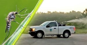 mosquito and truck spraying