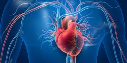 A ‘likely’ link between heart inflammation and Pfizer, Moderna COVID vaccines.