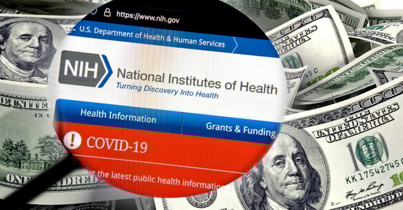 national institutes of health nih royalties vaccine feature