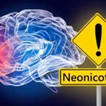 brain and word "neonicotinoids"