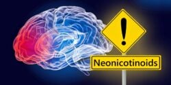brain and word "neonicotinoids"