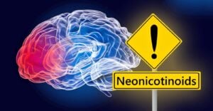 brain and word "neonicotinoids"