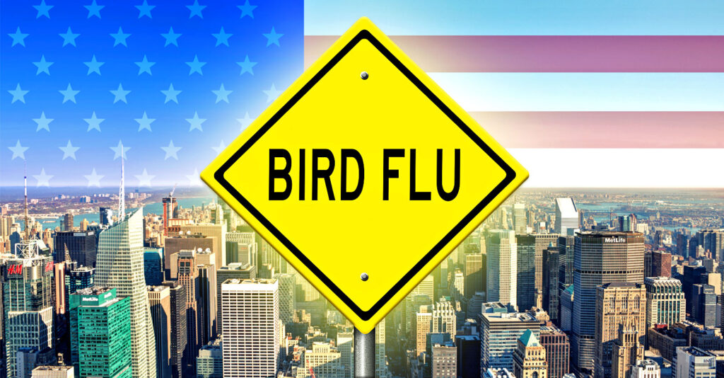 Exclusive: New York City Health Officials to Hold Bird Flu Tabletop ...