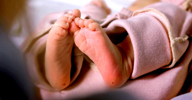 newborn heel prick blood test feature