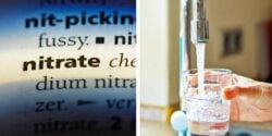 nitrate definition and water from tap