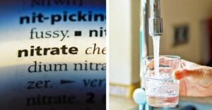 nitrate definition and water from tap