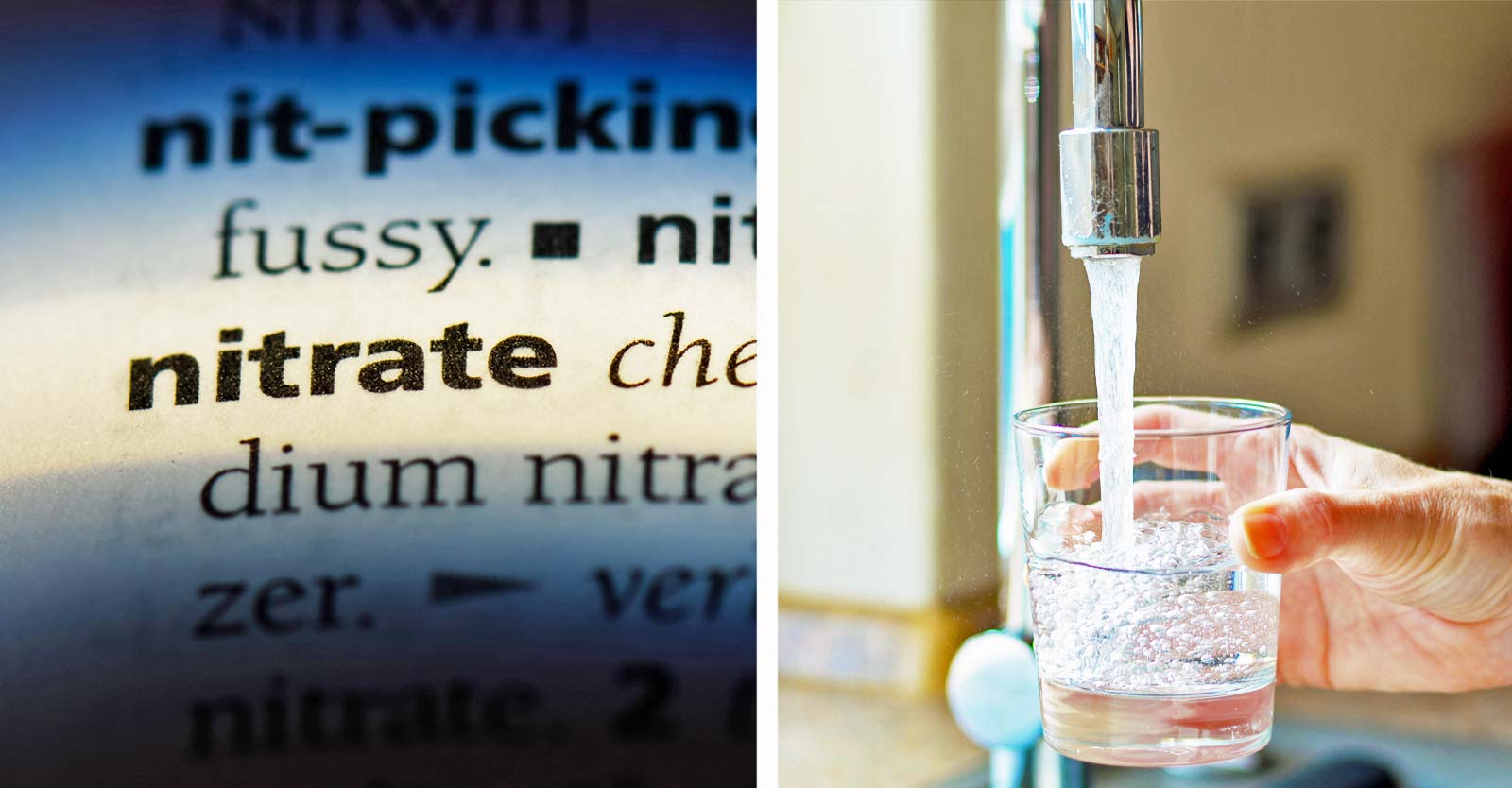 nitrate definition and water from tap