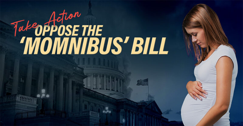 Oppose H.R. 7973, the ‘Momnibus’ Bill - Photo of the US Capitol building with a pregnant woman