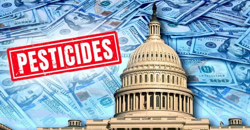 u.s. capitol building