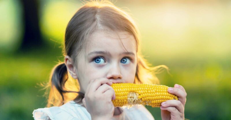 girl eating corn on the cobb