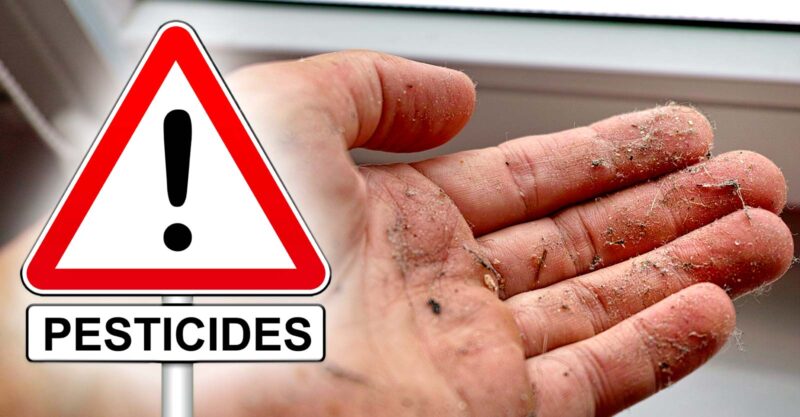 hand holding indoor dust and warning symbol with word "pesticides"