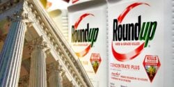 supreme court and bottle of roundup