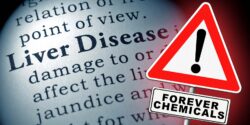 words "liver disease" and "forever chemicals"