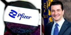 pfizer logo and scott gottlieb