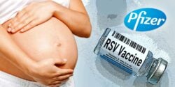 pregnant woman, rsv vaccine bottle and pfizer logo