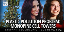 Plastic Pollution Problem: Monopine Cell Towers