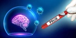 brain and word polio