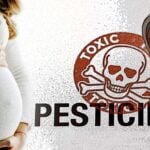 pregnant woman and word "pesticides"