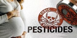 pregnant woman and word "pesticides"