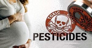pregnant woman and word "pesticides"