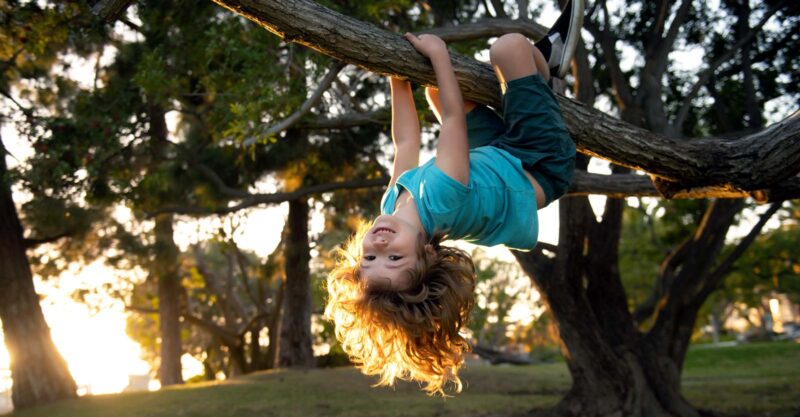 child swinging from tree