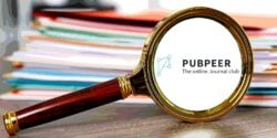 magnifying glass and pubpeer logo