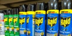 raid pyrethroid flying insect pest spray
