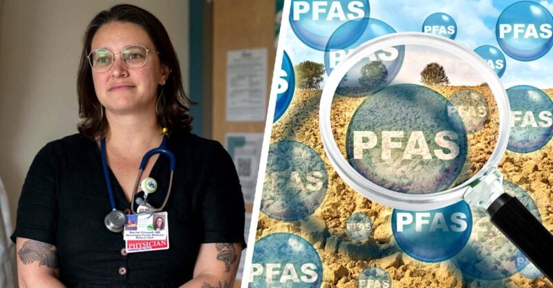 rachel criswell and pfas