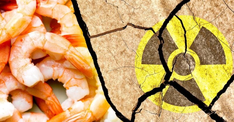 shrimp and radioactive symbol