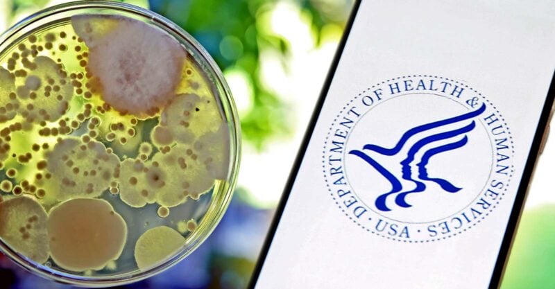 mold in a petri dish and HHS logo